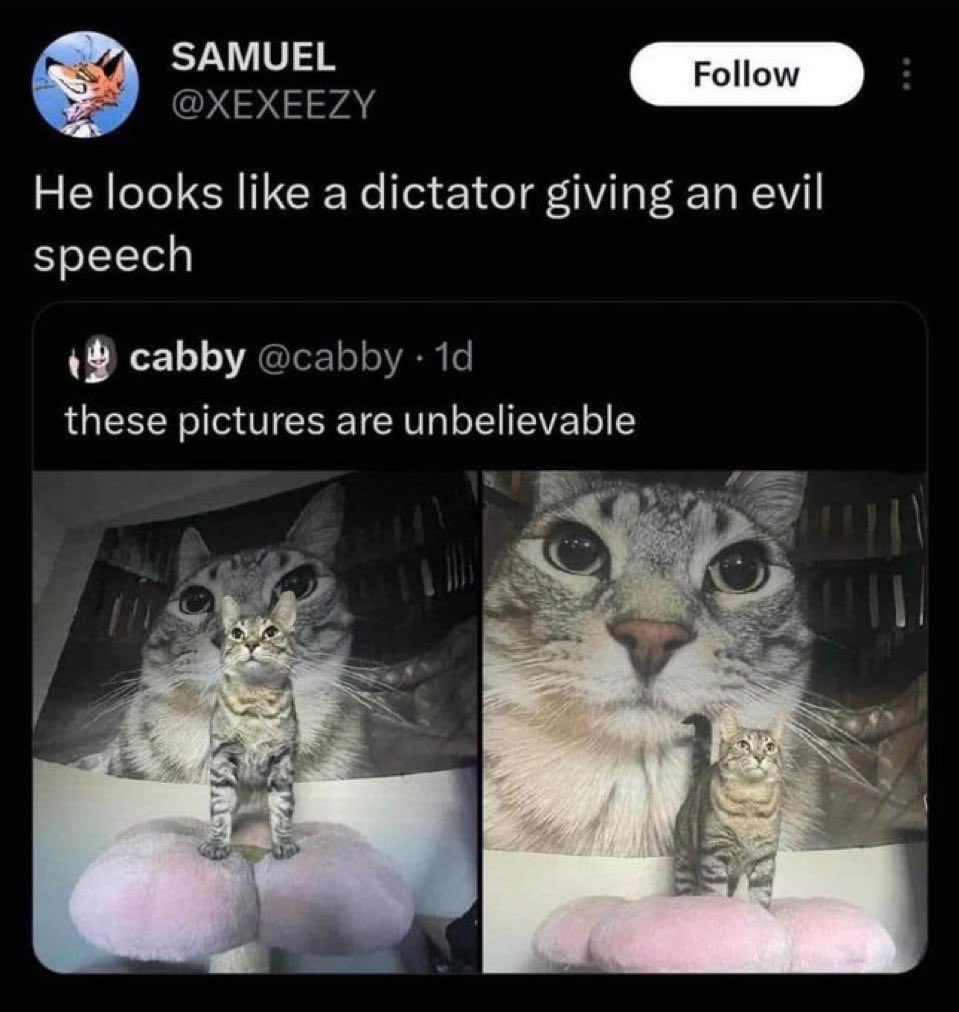 Daily Memes (@thedailymemes_) on Twitter photo 