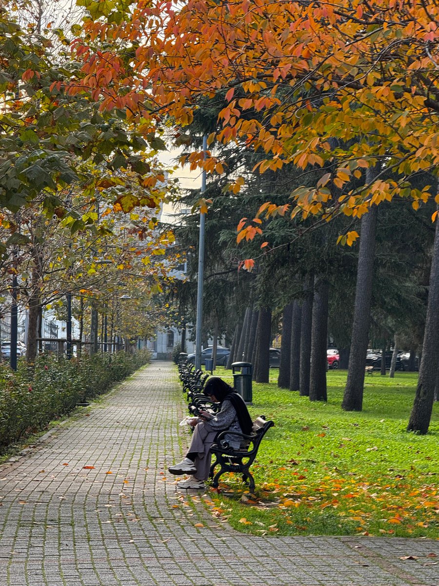 Mevsimlerle birlikte renklerin de değiştiği kampüsümüzden hepinize huzur dolu bir hafta diliyoruz. ✨