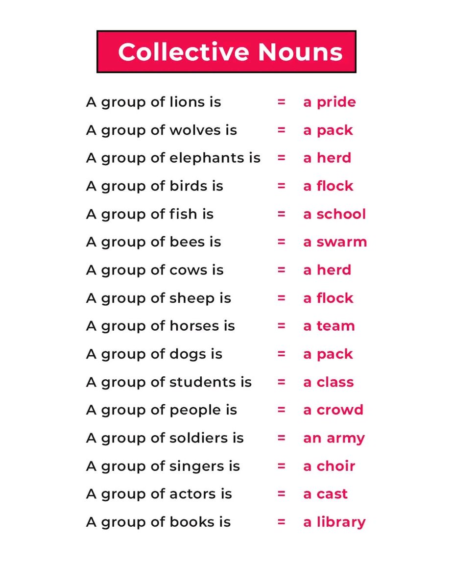Oluwa_Dailo's tweet photo. Collective Nouns
#imporveenglish #speakingpractice #learnenglish #everyoneシ゚ #learnthroughplay https://t.co/R69lSh4mHT