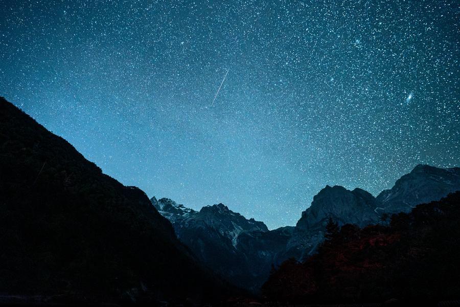 Language Video tweet media