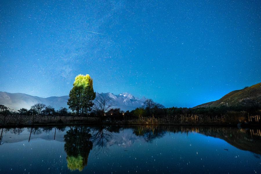 Language Video tweet media