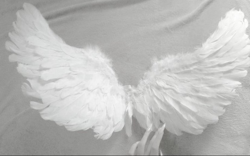 ―୨୧⋆ ˚ not new 2 #nsfwtwt jst redoing pinned! 

𝜗𝜚 ⊹ 18+ account. minors DNI!!
— she/her♡
- virgin :3
— sub
- 5’5♡ 
—  hard n soft kinks, list in dms no tws. ⊹ 𝜗𝜚

♡ + ↻ to b mutuals 🐰