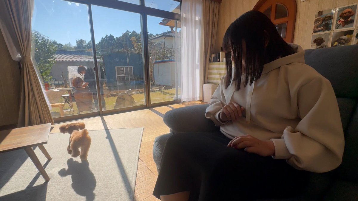 あずきわんこ きょうのわんこ に登場してくれたのは「あずき」でした🐶お母さんが庭