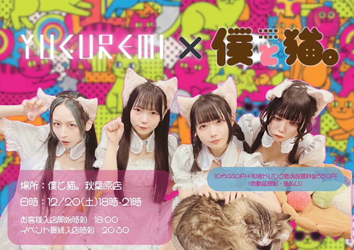 ゆめ猫と本物の猫に会いに来れちゃう！₍ᐞ•༝•ᐞ₎◞ ̑̑ 明日ライブ後