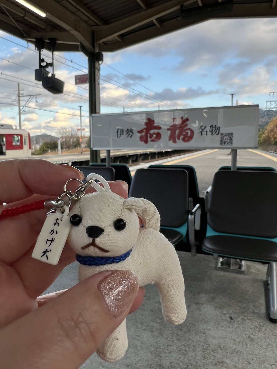 ぷてぃかわ(ポメペキ⭐︎3歳) tweet media