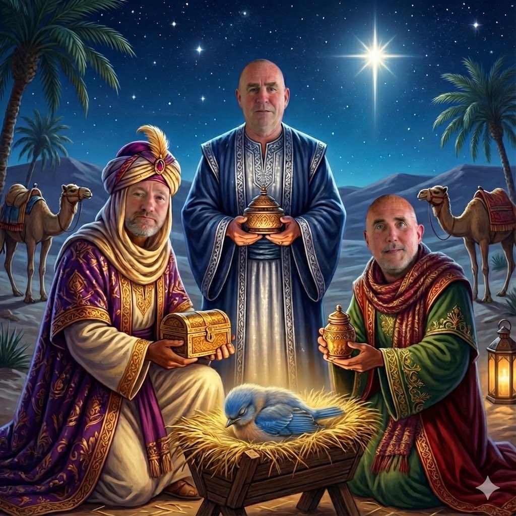 Trethomas Bluebirds AFC tweet media