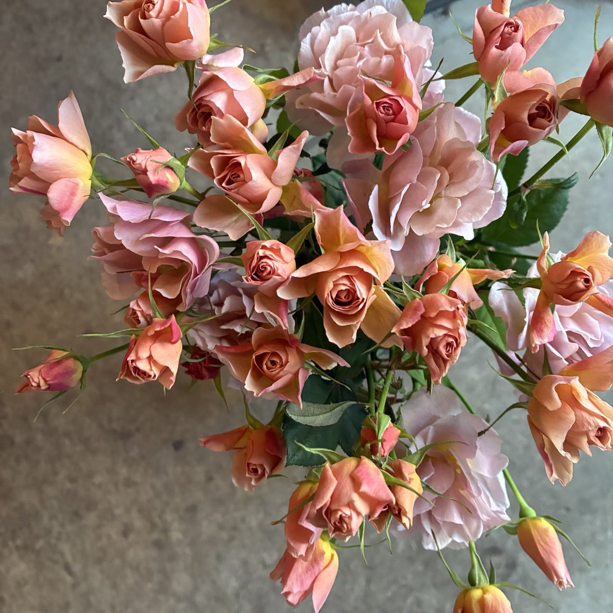 さくらんぼ Sakuranbow (@sakuranbow20) / Posts / X