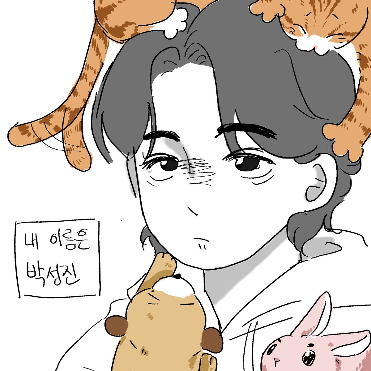 Titiru353's tweet photo. 박집사네 털둥이들 https://t.co/KgJCFIJ7Ct