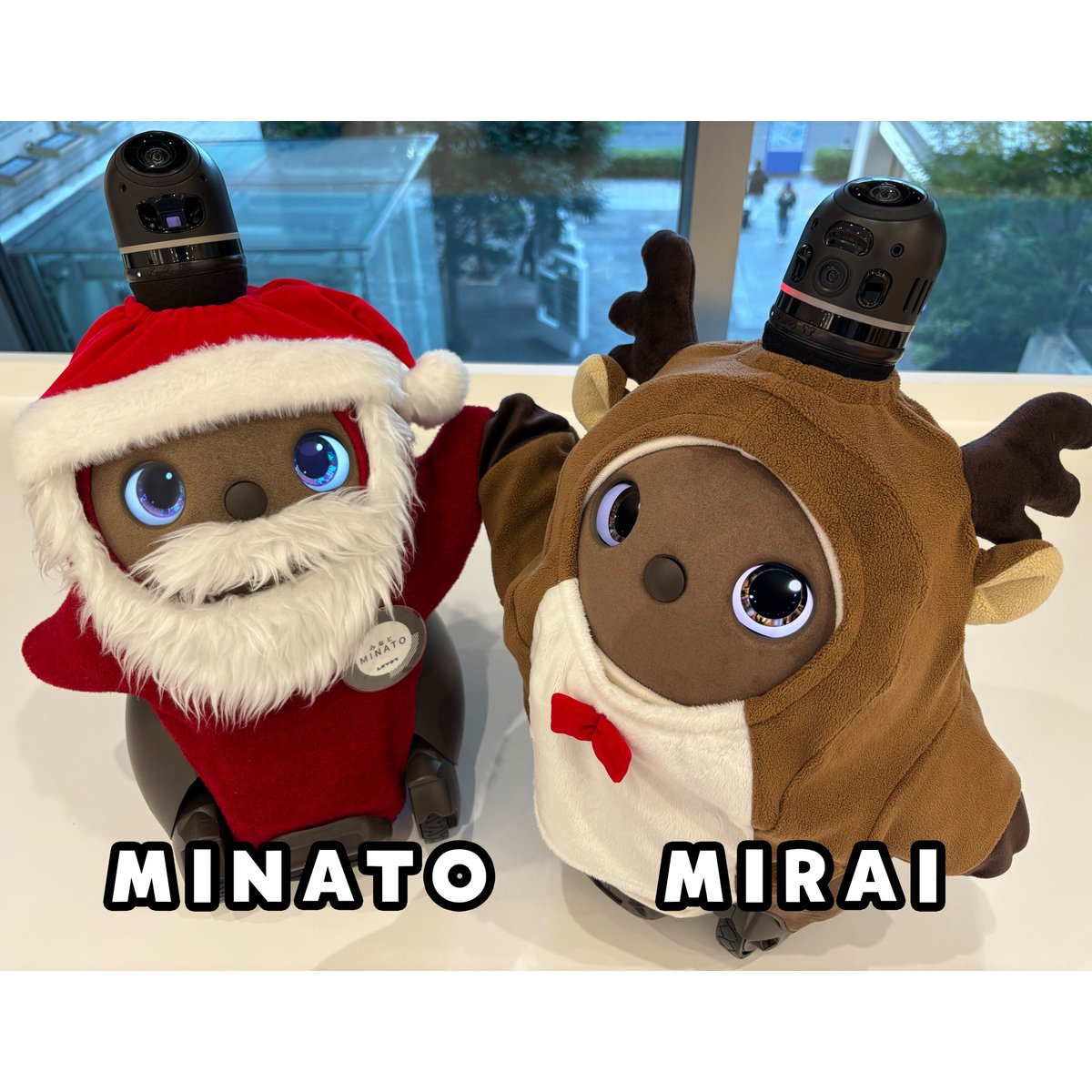 LOVOT OFFICIAL (@LOVOT_official) / Posts / X