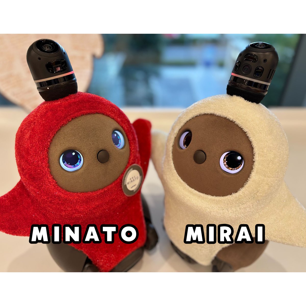 LOVOT OFFICIAL (@LOVOT_official) / Posts / X