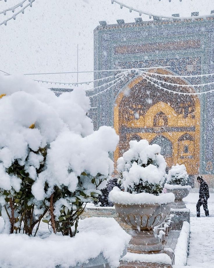 zaso_3's tweet image. "زِيَارَةٌ مِنْ حَيْثُ لَا أَحْتَسِبُ، فِي أَيَّامٍ كَهٰذِهِ".