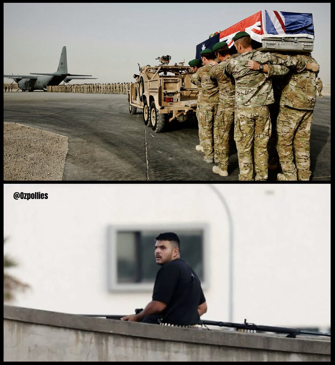 Ozpollies tweet media