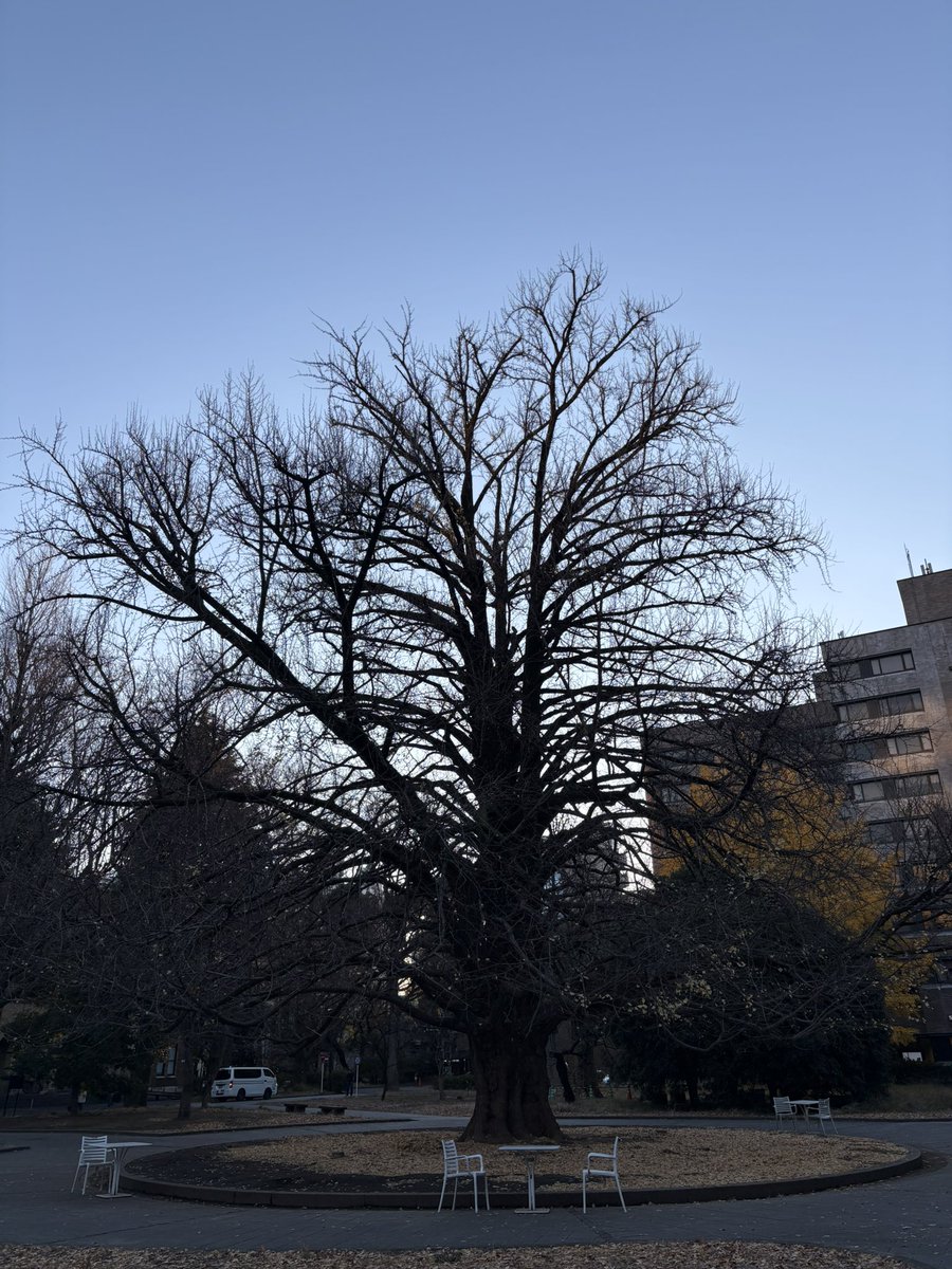 もう誰も写真撮ってなくて可哀想