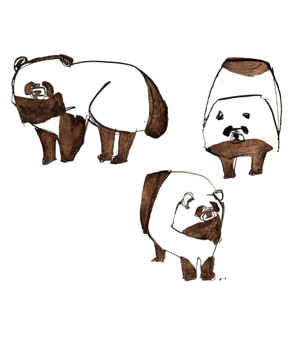 Post by Jun Sasaki on X: 反抗期たぬき。