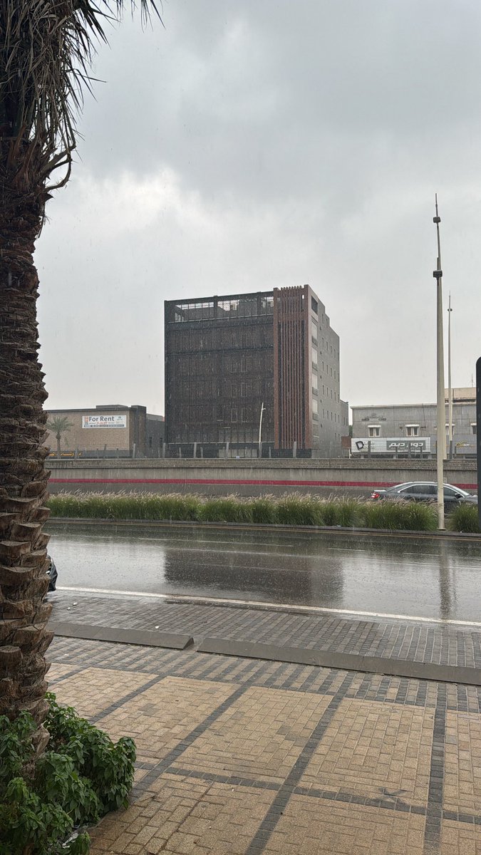 من فبراير ما سمعتها
شوق🥹🥹