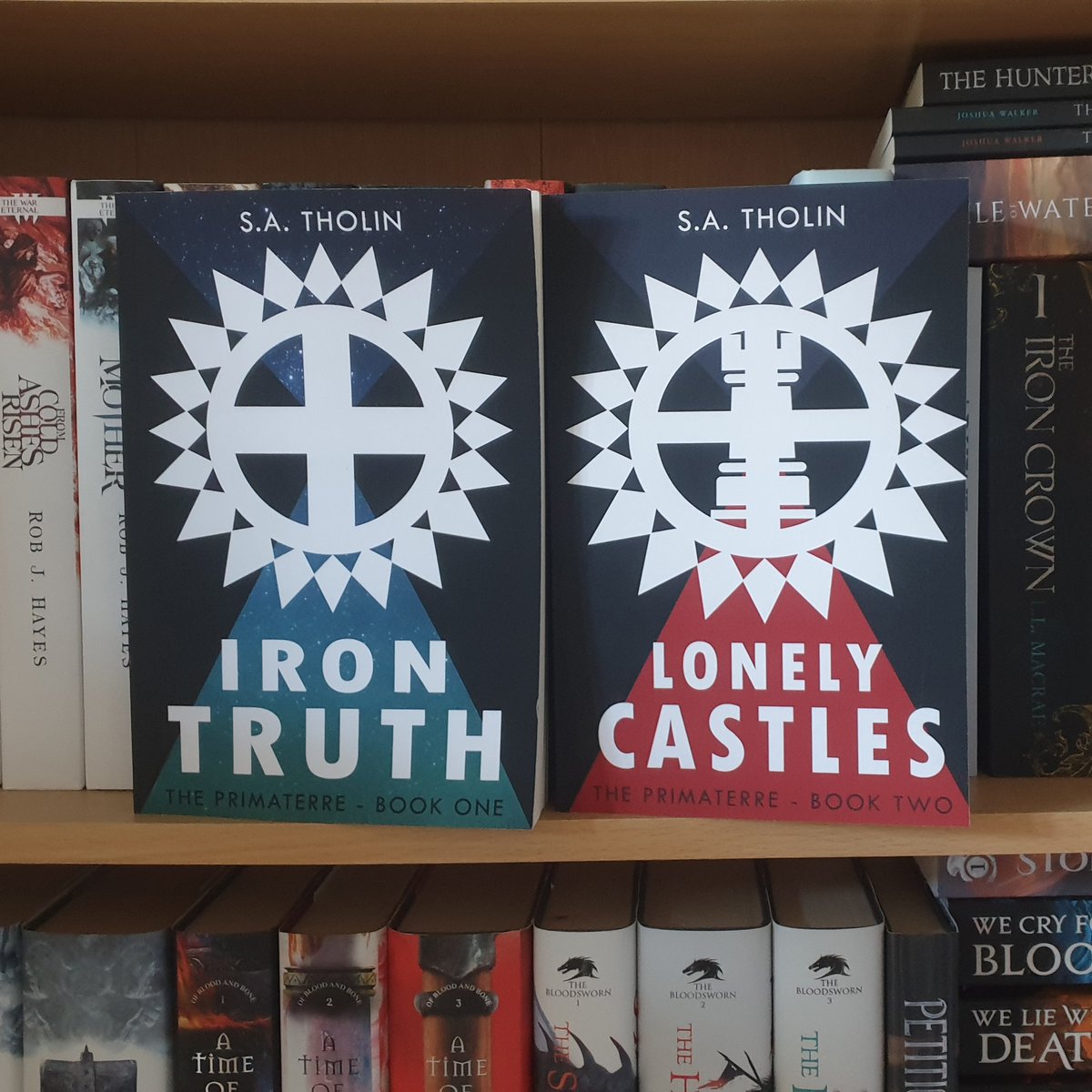 dominish_books tweet media