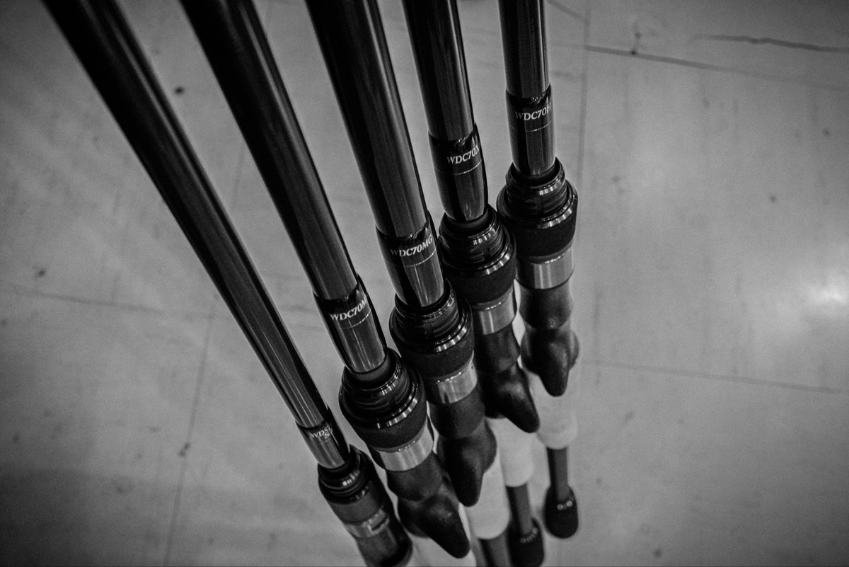 WOLF DOWN ® (@wolfdown_OA) / Posts / X