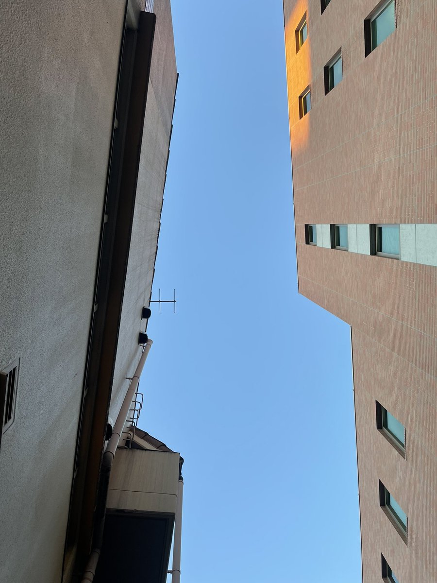 negimiso tweet media