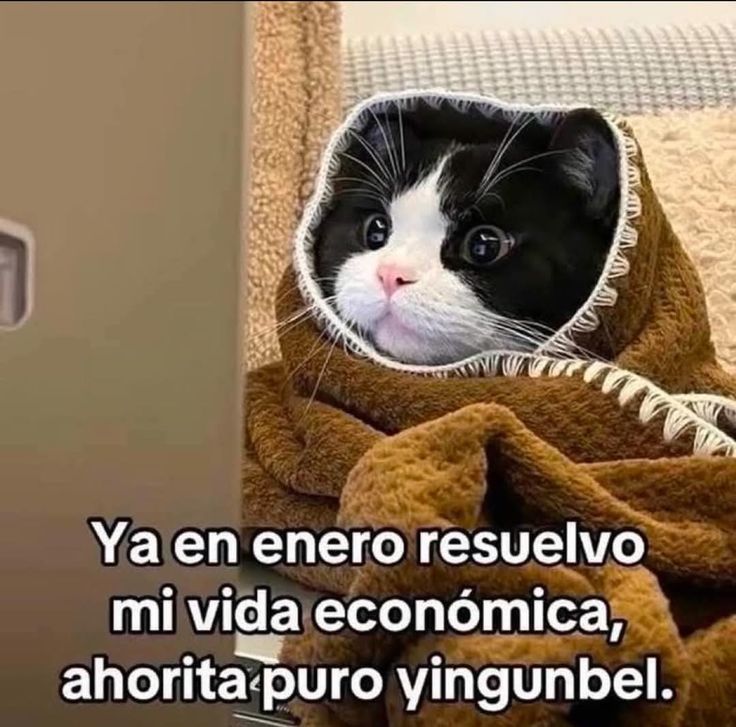 En Júpiter (@en_jupiter_) on Twitter photo 