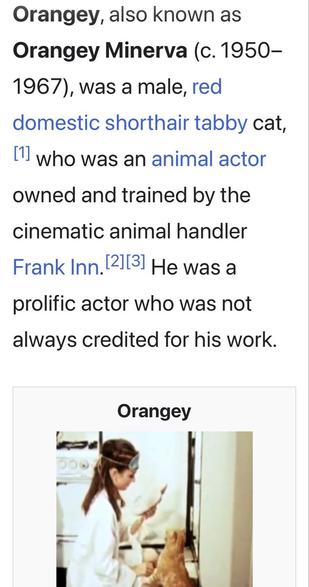 Nicole Marcus tweet media