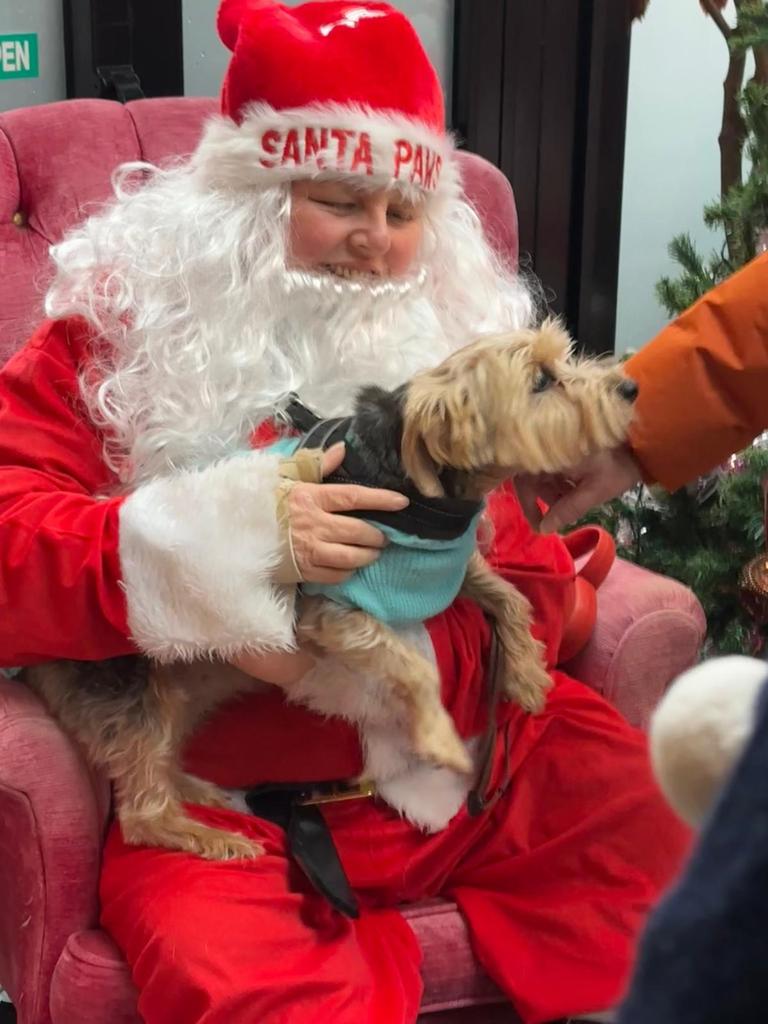 AndrewNoble16's tweet photo. #Heartfelt #ThankYou #AuntyJoJo & #UncleRuss taking us to see #SantaPaws truly wonderfully #pawsome! πΎπ #charity event! #allthefeels #Poppy πΎ on the #nice list (& the #cheeky list ππΎ) #magical #believe #rescuedog look @Mike_Zeller1 and a https://t.co/cfNJcMB79Q goody bag β¨ https://t.co/dOw5Y5DYKh