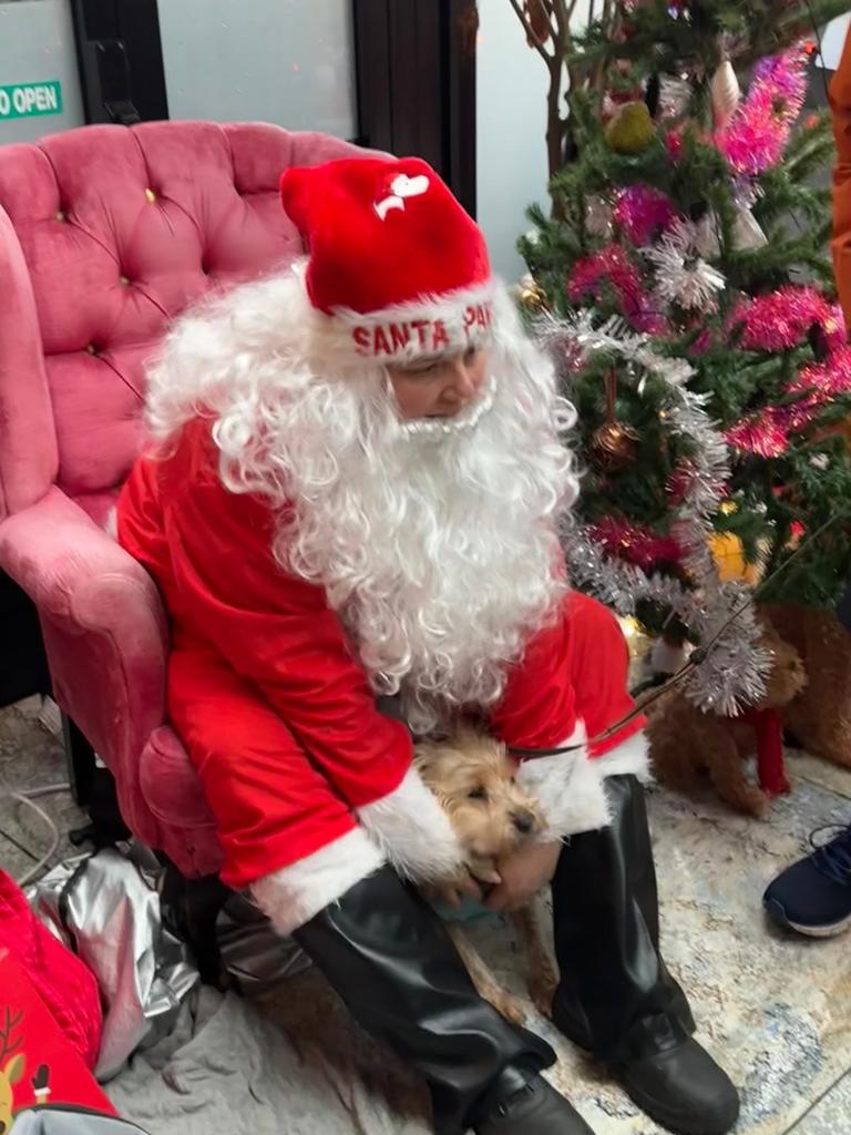 AndrewNoble16's tweet photo. #Heartfelt #ThankYou #AuntyJoJo & #UncleRuss taking us to see #SantaPaws truly wonderfully #pawsome! πΎπ #charity event! #allthefeels #Poppy πΎ on the #nice list (& the #cheeky list ππΎ) #magical #believe #rescuedog look @Mike_Zeller1 and a https://t.co/cfNJcMB79Q goody bag β¨ https://t.co/dOw5Y5DYKh