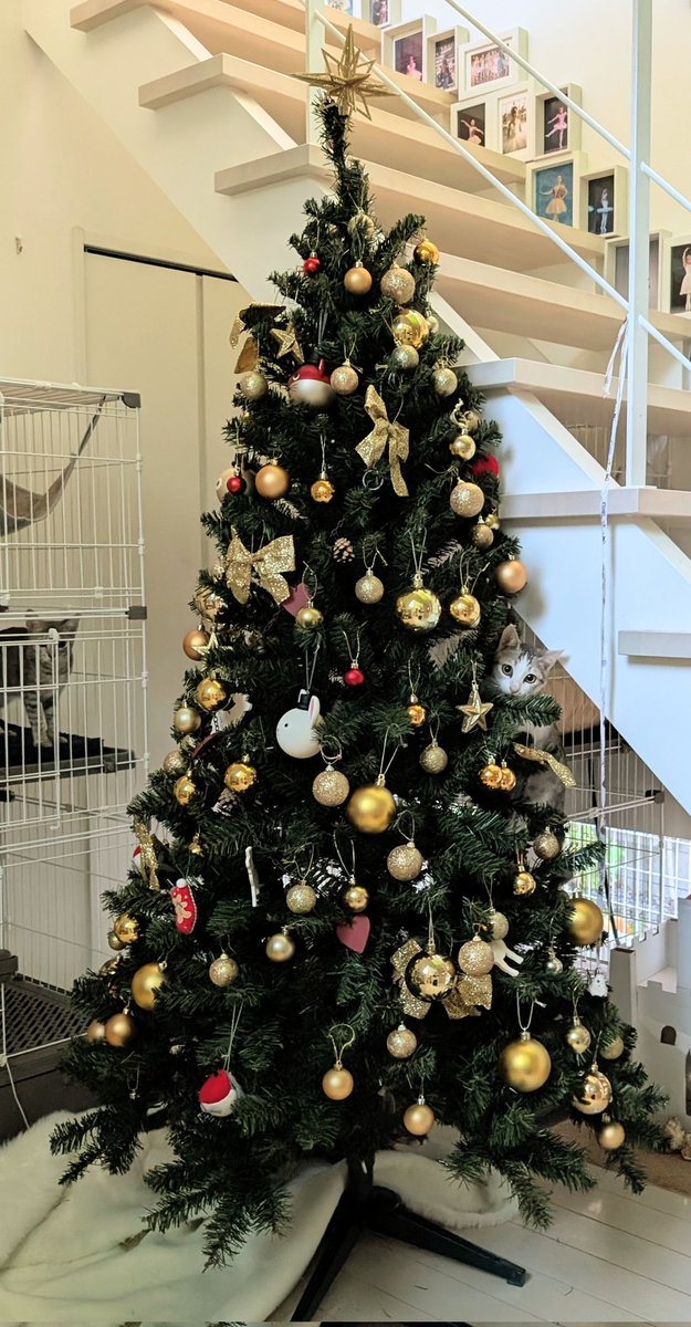 39造 (@mosa_suma_39zo) / Posts / X