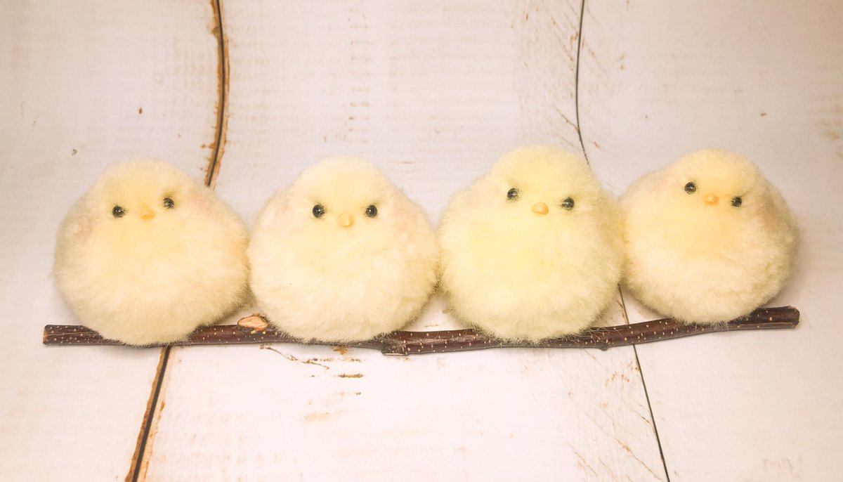 1枚目→2021年のひよこ 2枚目→2022年のひよこ 3枚目→2025年のひよこ