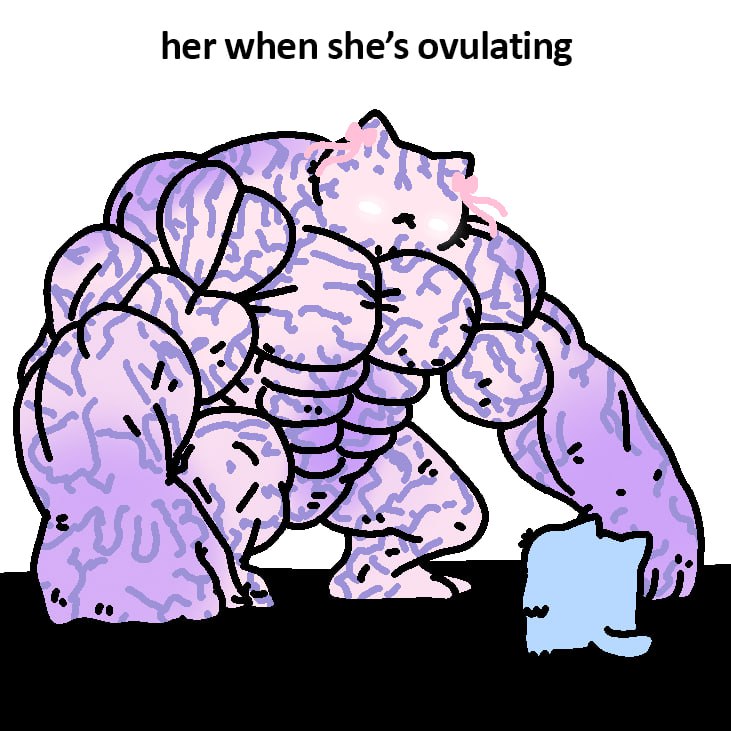 SolanaMummy tweet picture