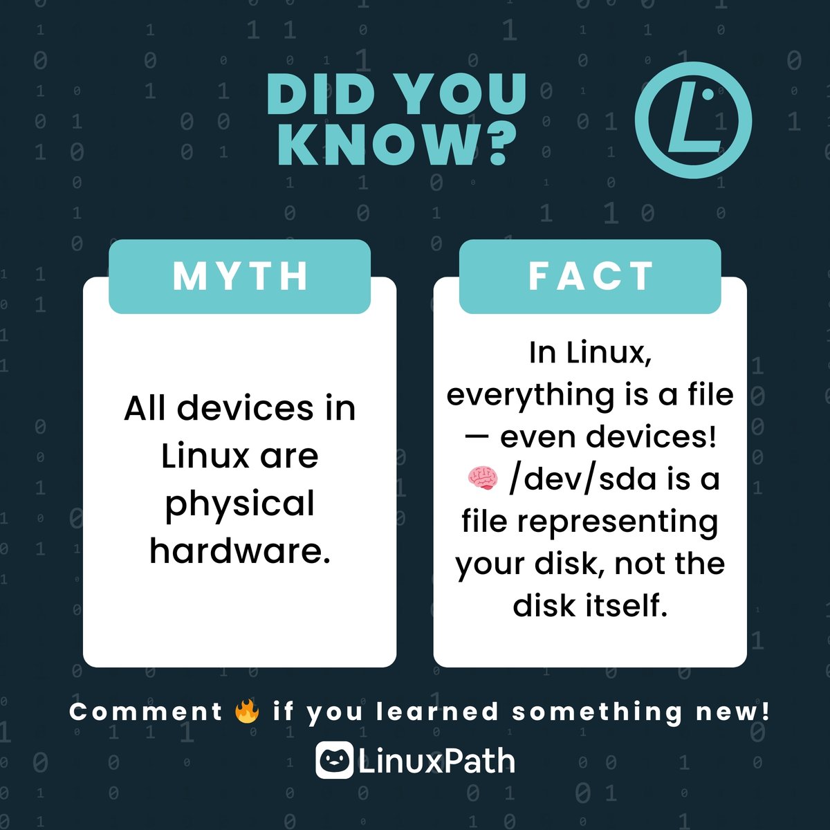 Linux Path tweet media