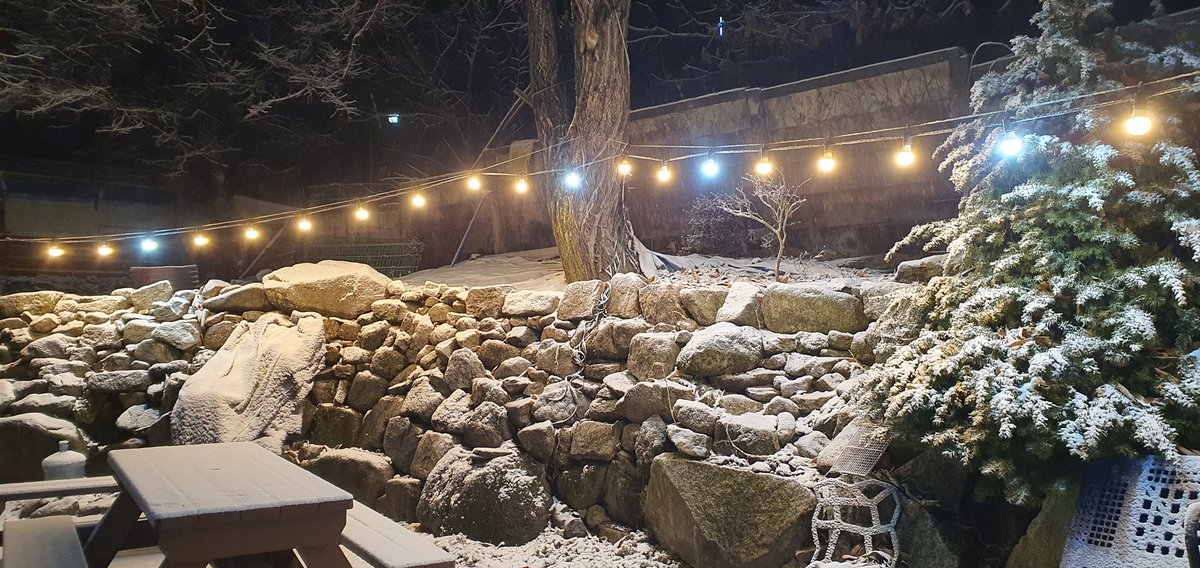 동생네 부부와 함께 저녁식사를 하는동안 내린 눈이 조명과 어우러진 참 이쁜 그림이 되었네요~