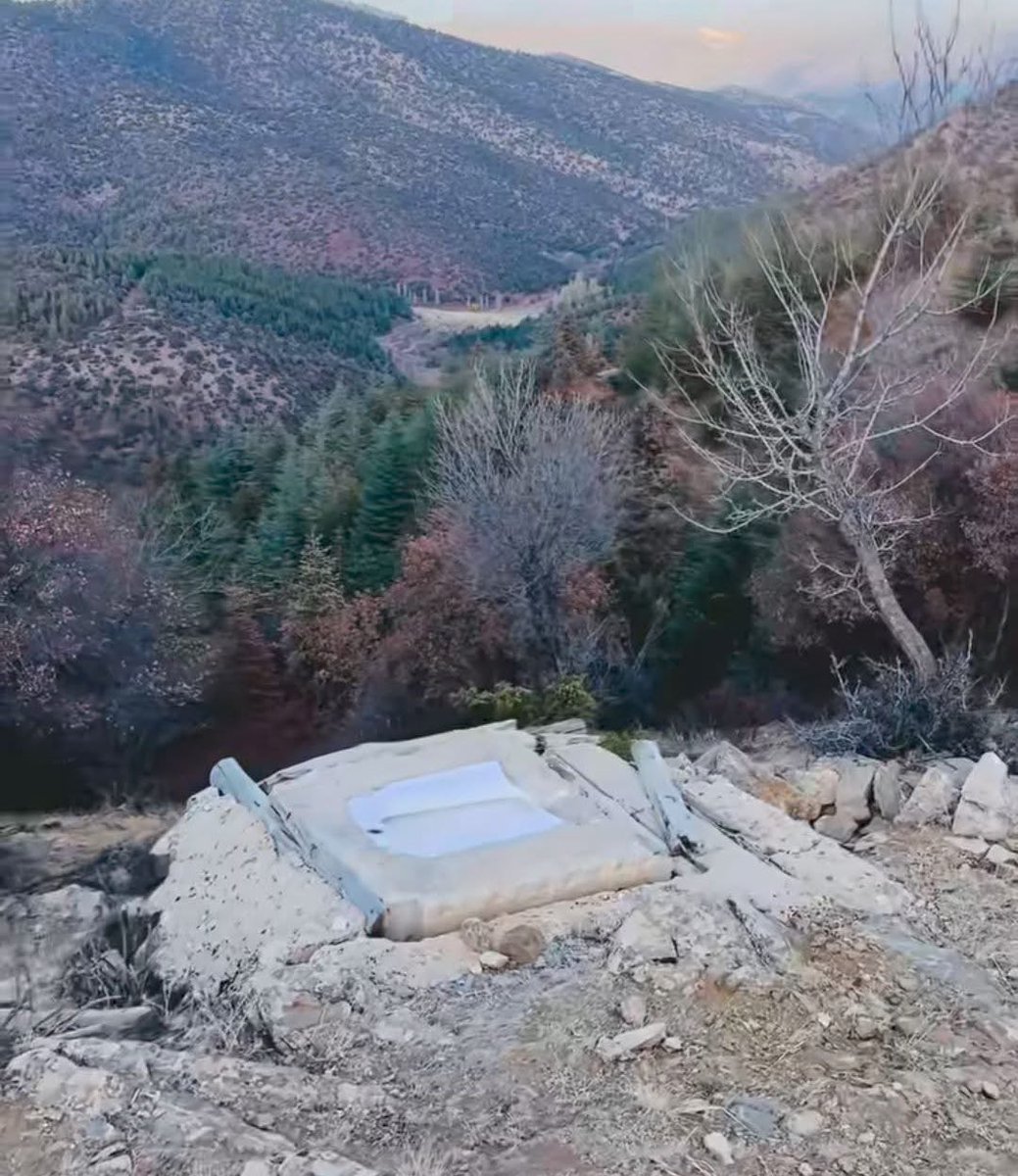 Şimdi şurda bir kere sıçsam dert tasa kalmaz