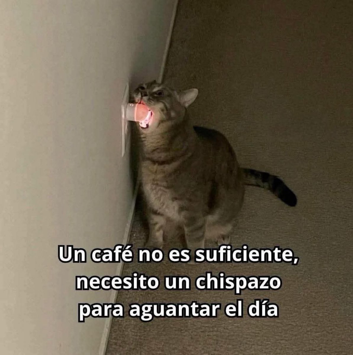 En Júpiter (@en_jupiter_) on Twitter photo 