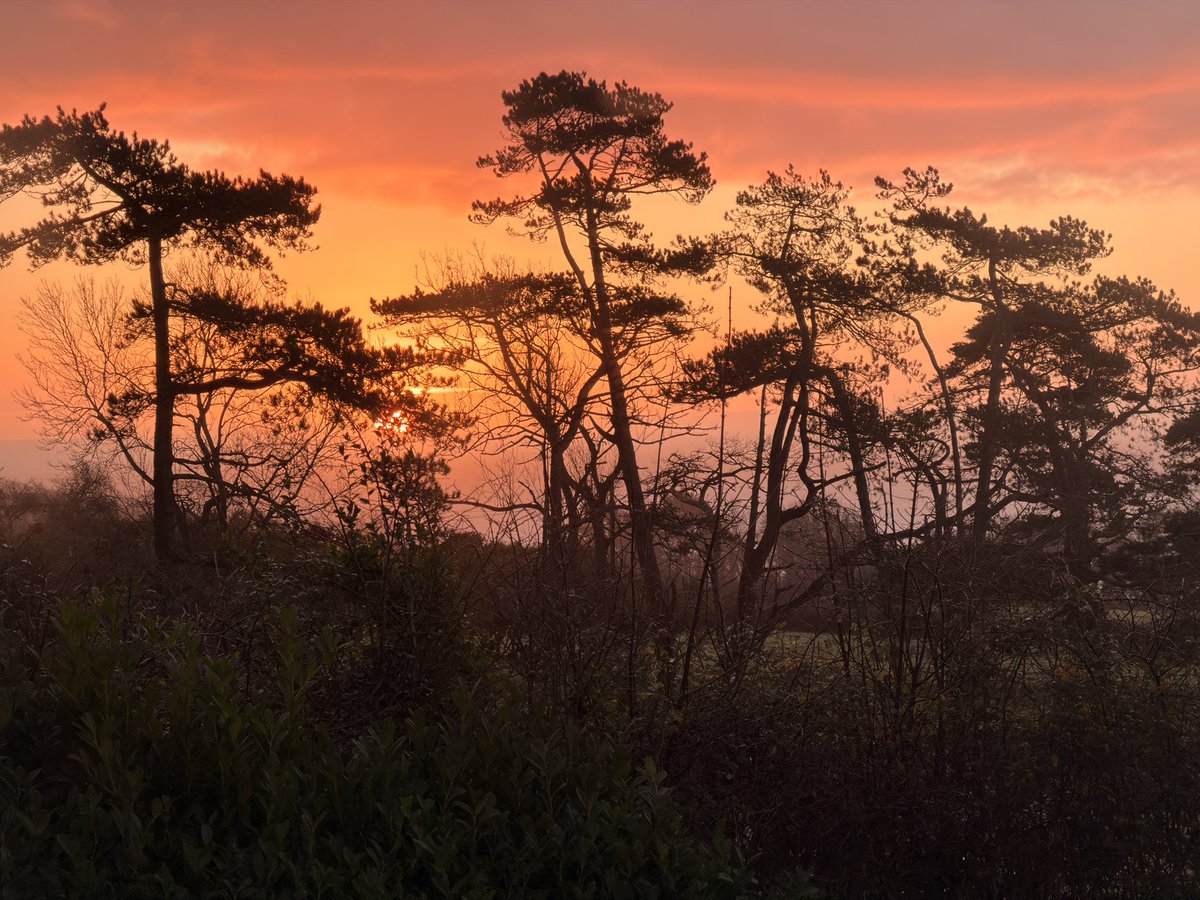 View over Oxwich Bay this morning …