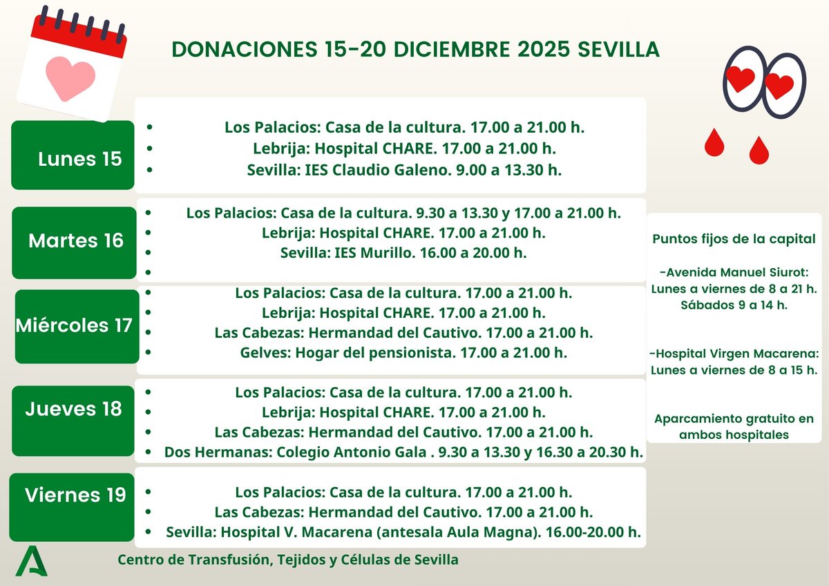 CTS Sevilla tweet media