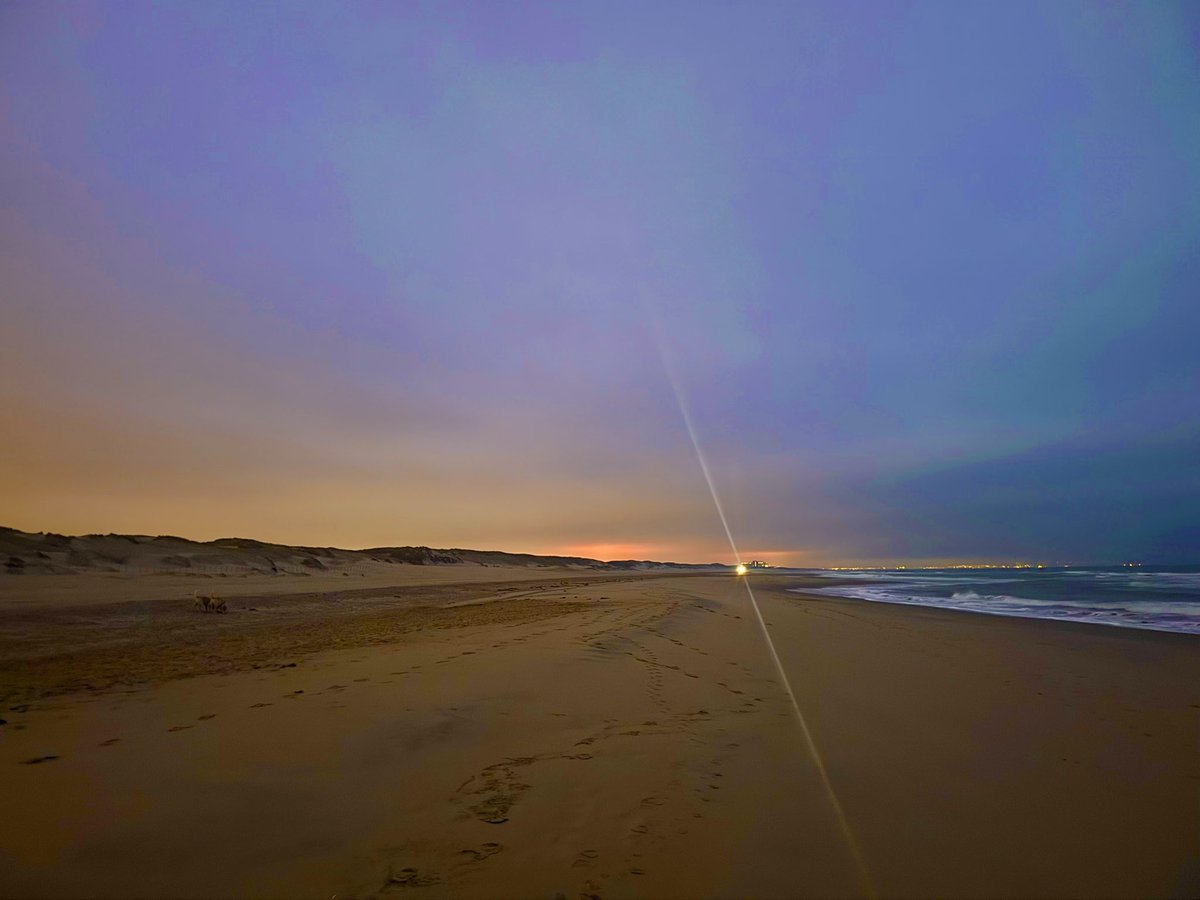 Andy Fenner tweet media