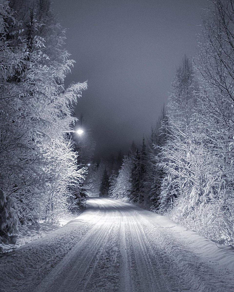 Be honest do you love winter ? ❄️