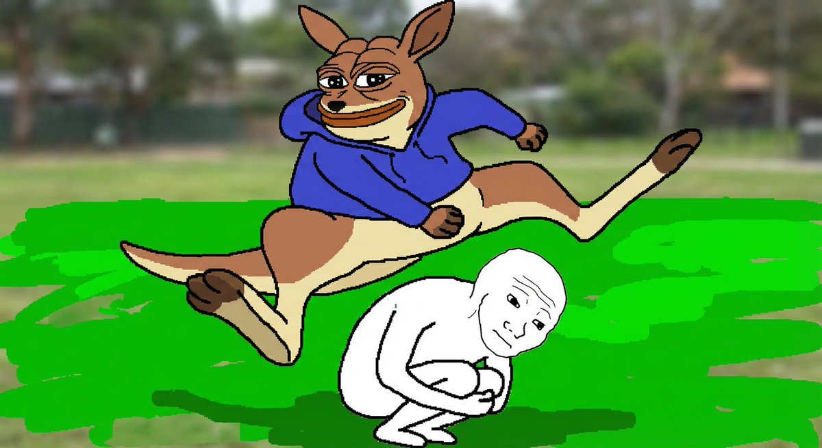 Rorocoinsol's tweet photo. A new meme is in town 🦘 https://t.co/wHzRTbnEah