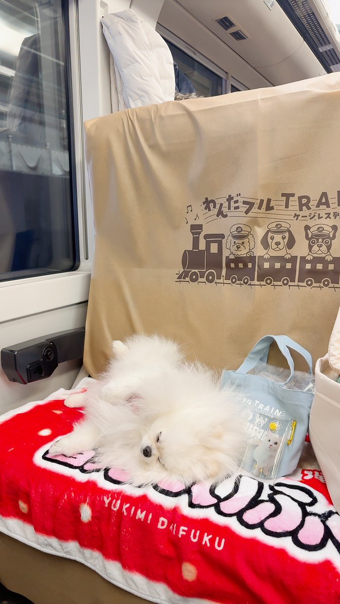 うるはさぶ (@uruhasub) / Posts / X