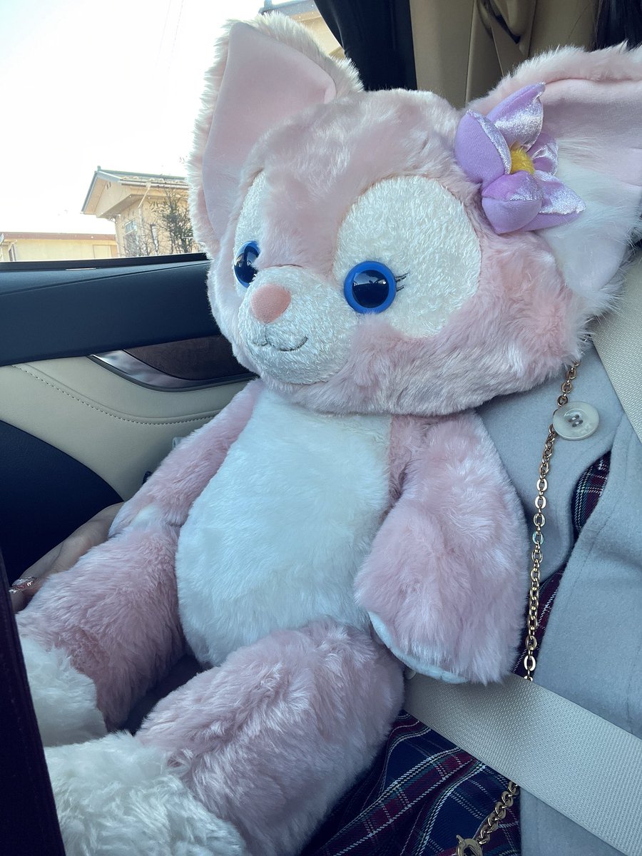 ⓈⒶⓀⒾ(さぴたい🐈🌸) (@sapi__tai) / Posts / X