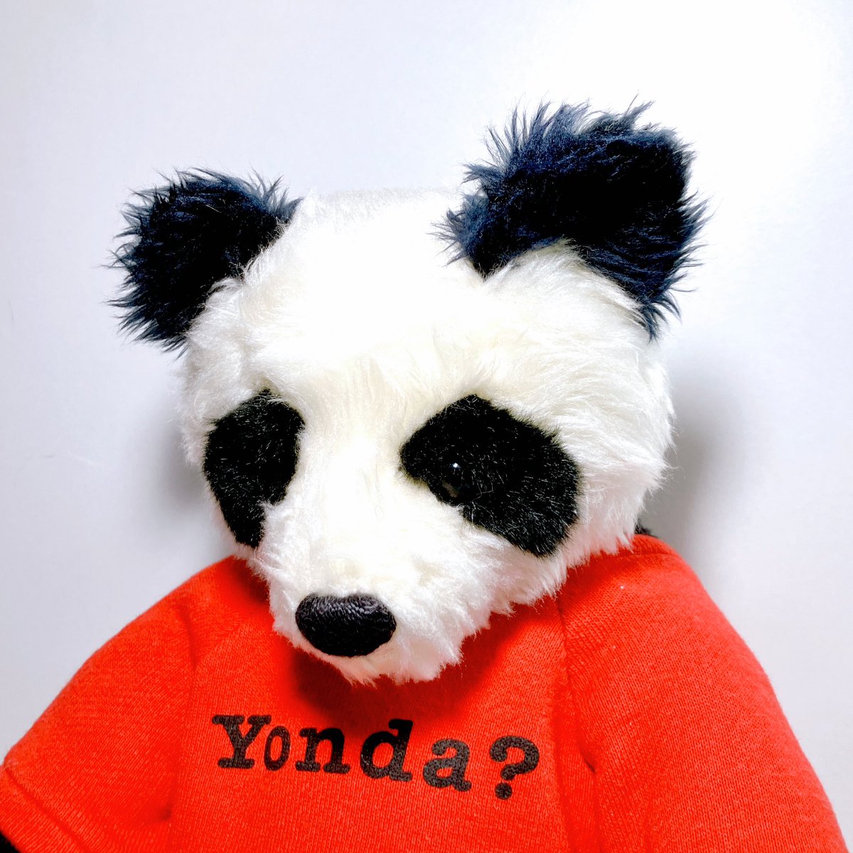 ○ #奇声の入荷 ○ 新潮文庫の景品だったYonda? パンダのぬいぐるみが