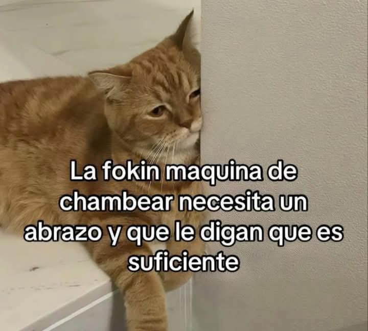 En Júpiter (@en_jupiter_) on Twitter photo 