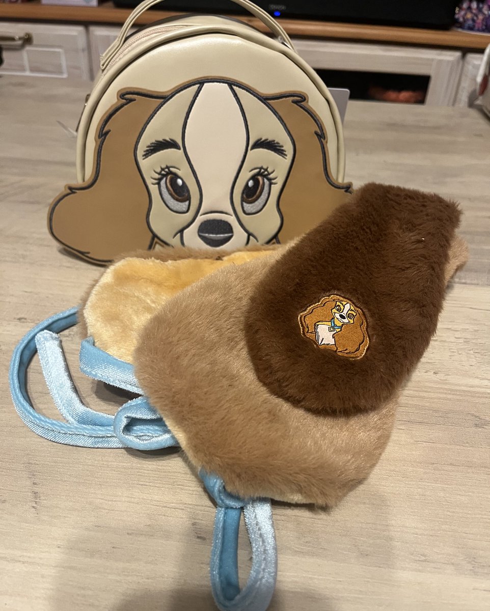 レディちゃんお迎えしてきたー！！！
かわいい。。🥺💕
上目遣いたまらんっ！！！🥺
イヤーマフは次のディズニーでつけよ🐶🎀