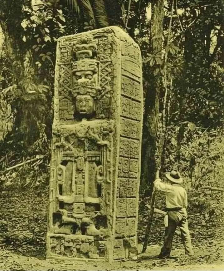 ArchaeoHistories tweet media