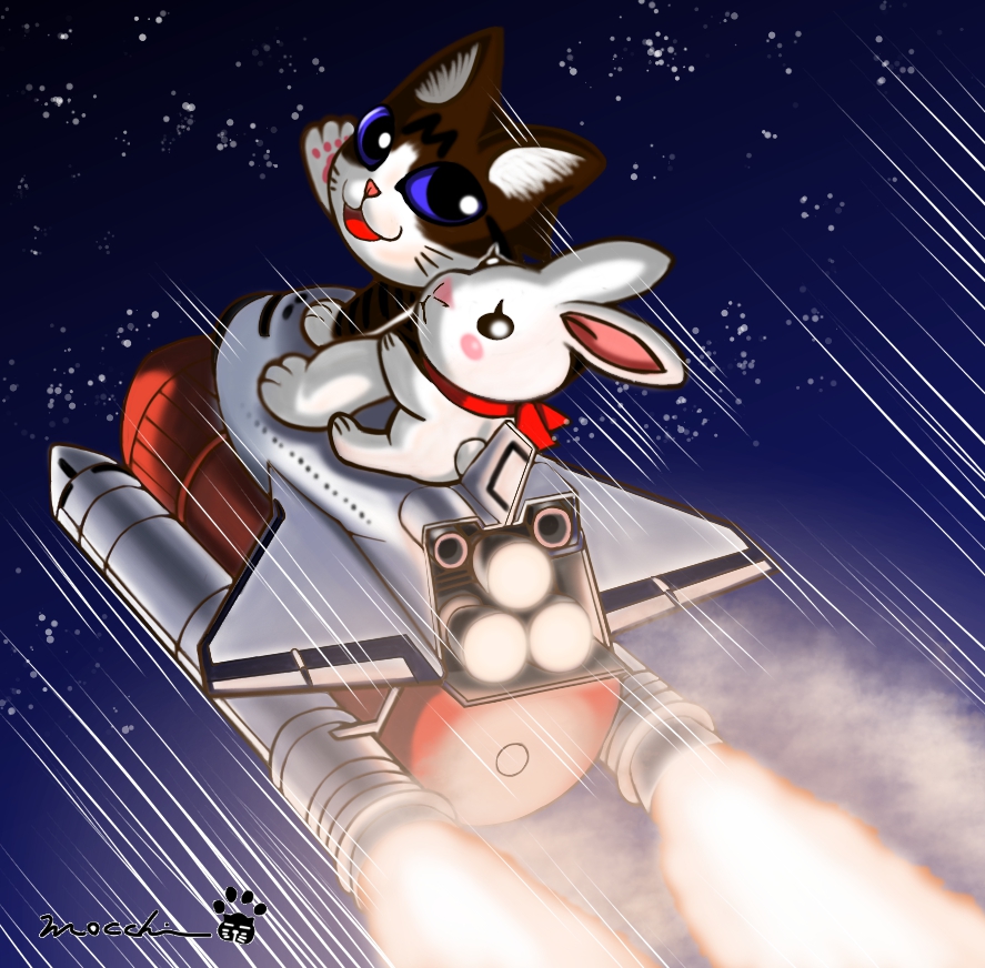 ちょっと宇宙までにゃぁ(再掲)