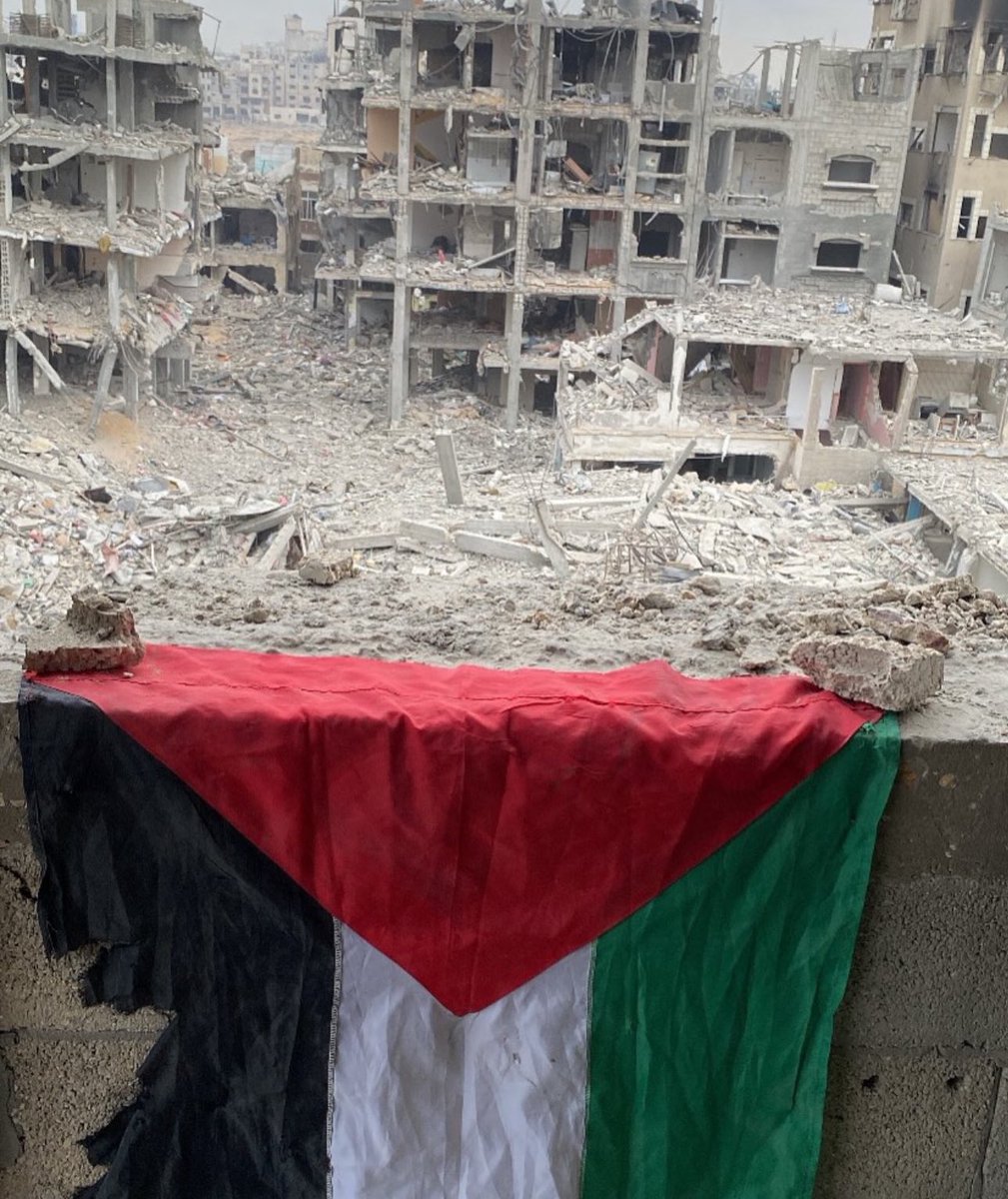 Dr. Yousef 🇵🇸 tweet media