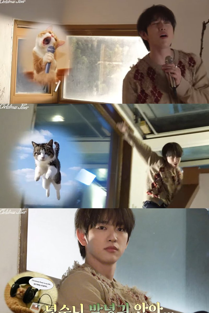 จาก vlog ที่เหมือนลูกแงวเล่นกล้อง ทุกวันนี้มัมหมีแฮปปี้บี หารูปมีมมาใส่ให้เสร็จสรรพเรียบร้อยละ โพเหมียวนยองถูกใจสิ่งนี้มากกกกก  ตะแคงซ้ายตะแคงขวาดู เด็กจิ๋วนี่มานเหมือนลูกแงวจริง ๆ นะ 😄