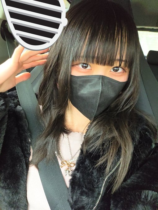 Dolly Catsのツイート