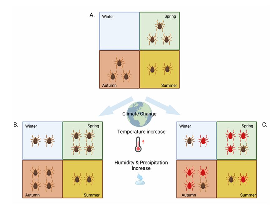 ElectraGizeli's tweet photo. 📢 New #Publication🧬
We're excited to share our latest scientific contribution addressing one of today's most pressing environmental health challenges: #Tick_borne challenges in a changing climate – risks and mitigation strategies.
🔗Read more: https://t.co/kuXNfLbQ9D https://t.co/ExGJX3mRG6