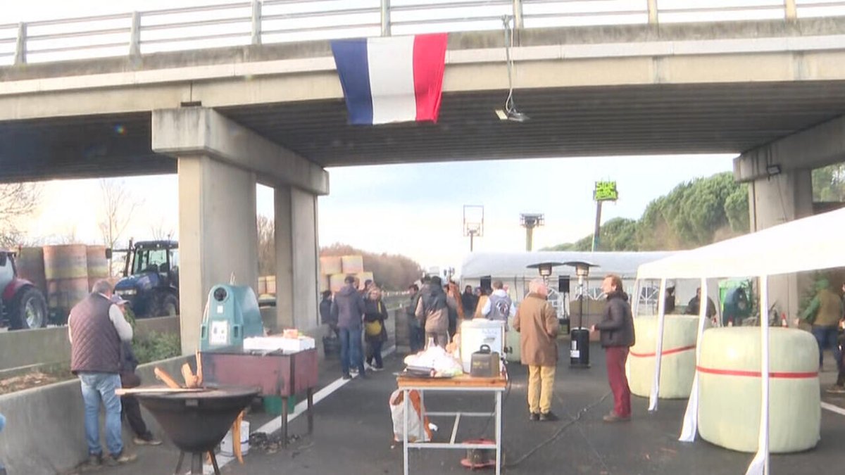 FRANCE 24 Français tweet media